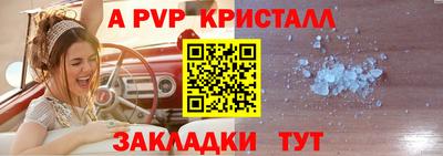 дживик Кингисепп