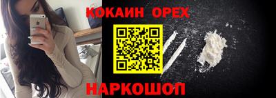 дживик Кингисепп