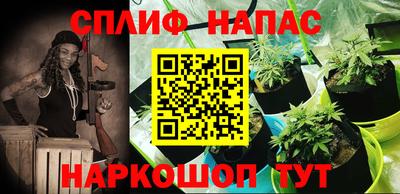 дживик Кингисепп
