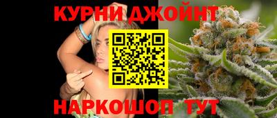 дживик Кингисепп