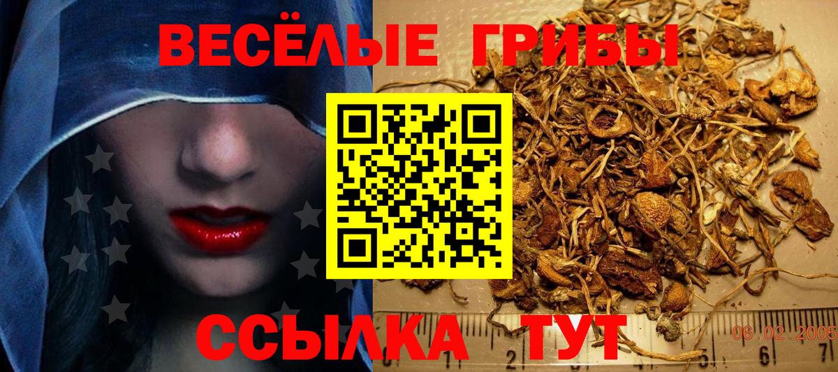 Псилоцибиновые грибы Magic Shrooms Сызрань