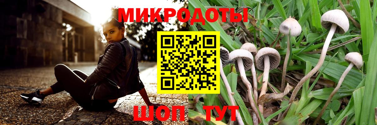 Галлюциногенные грибы Psilocybine cubensis  закладки  Вход с VPN  Сызрань  Галлюциногенные грибы Cubensis 